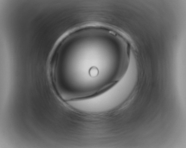 X0000114431326200910231226