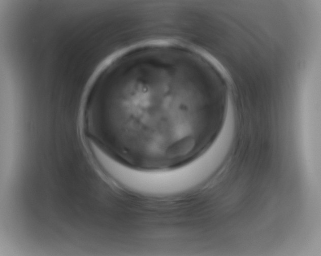 X0000114431327200910231226