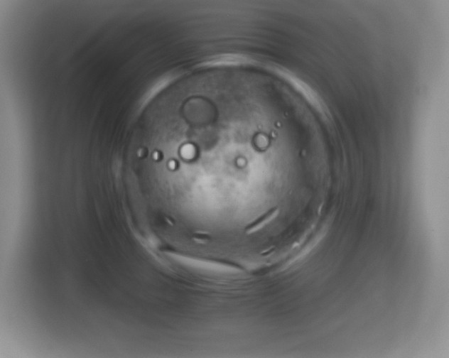 X0000114431329200910231226