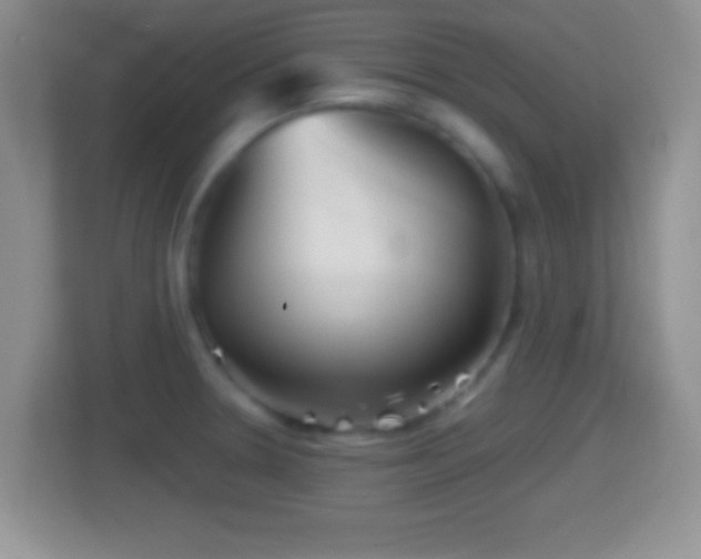 X0000114431330200910231226