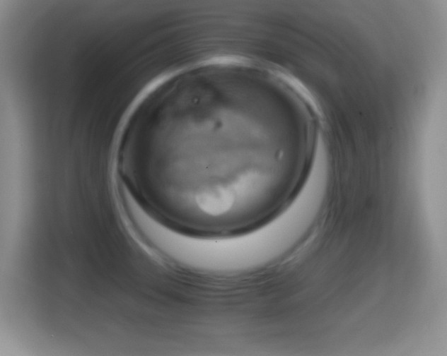 X0000114431331200910231226
