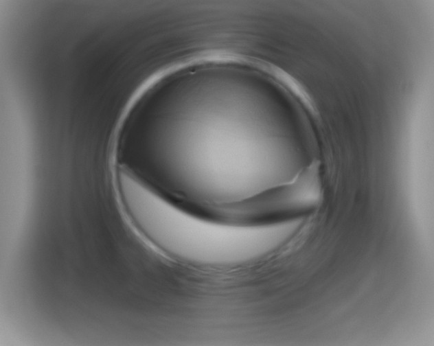 X0000114431334200910231226