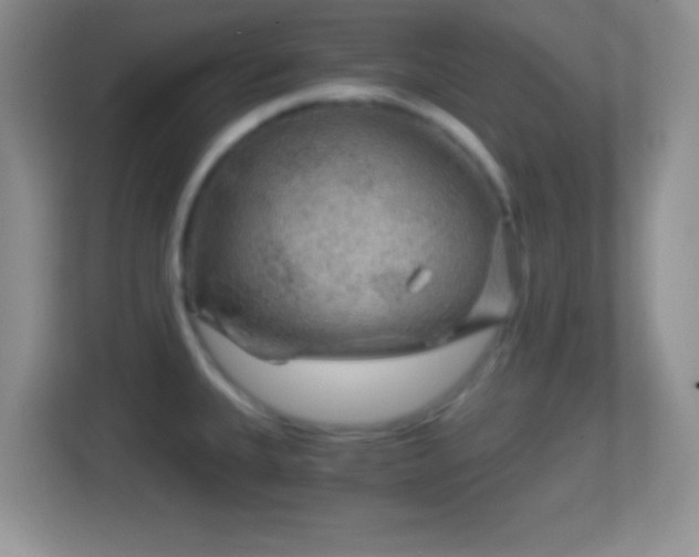 X0000114431335200910231226