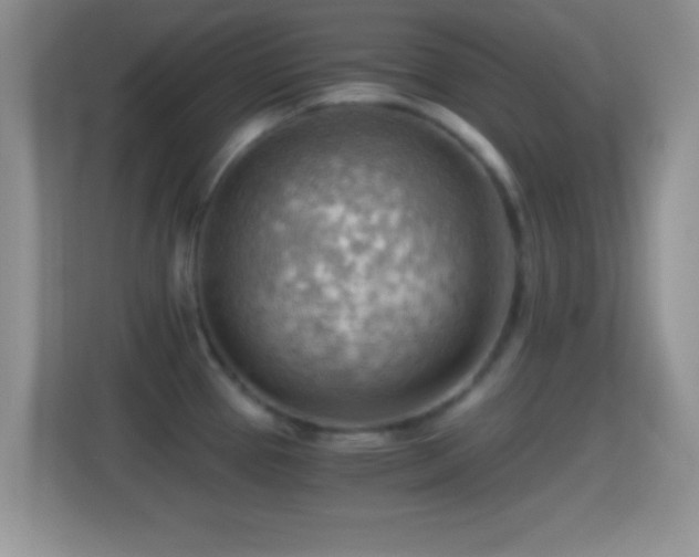 X0000114431337200910231226
