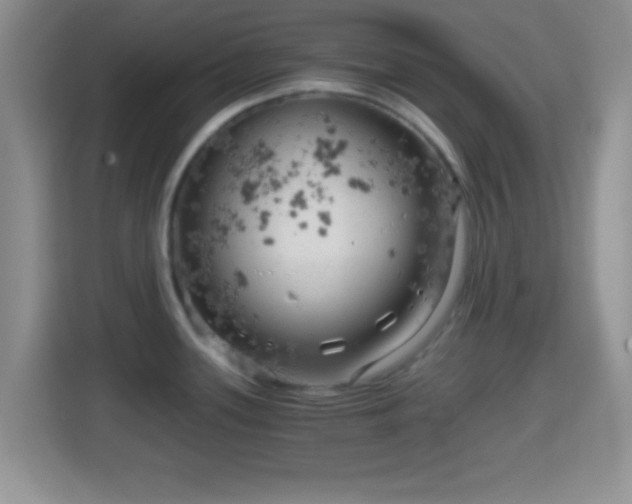 X0000114431339200910231226