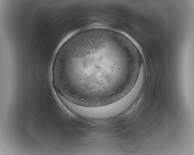 X0000114431341200910231226