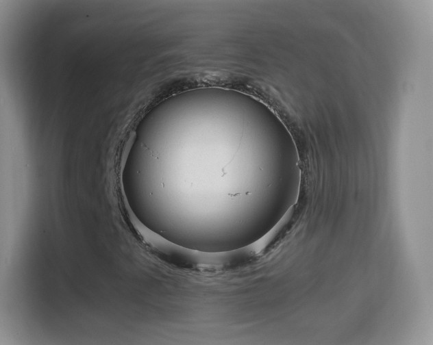 X0000114431345200910231225