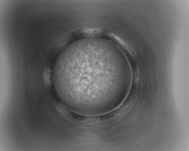 X0000114431346200910231225