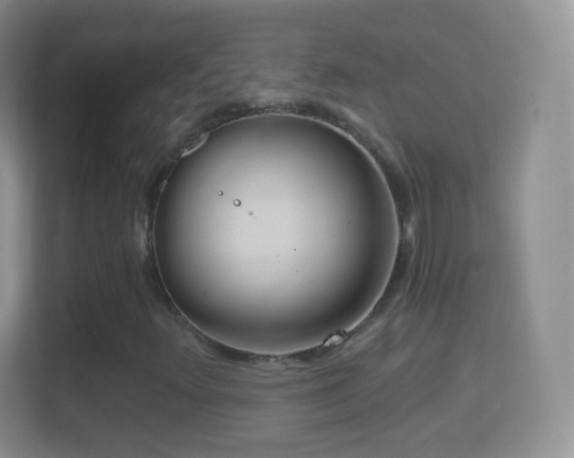 X0000114431348200910231225