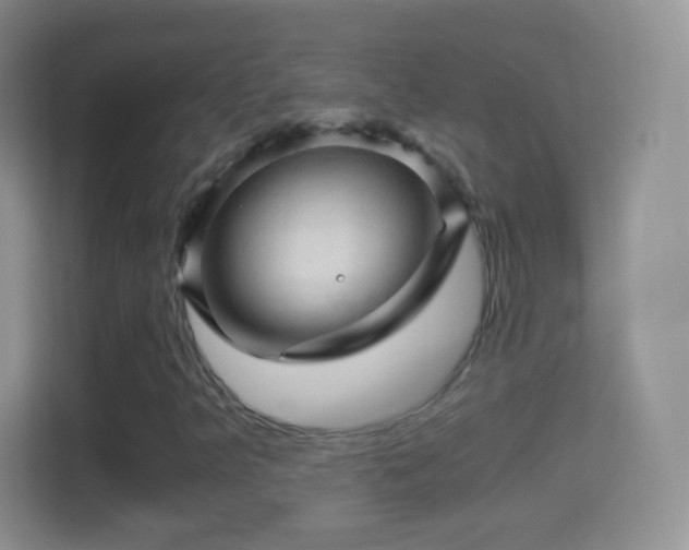 X0000114431349200910231225