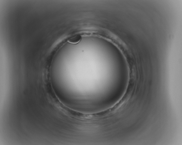 X0000114431352200910231225