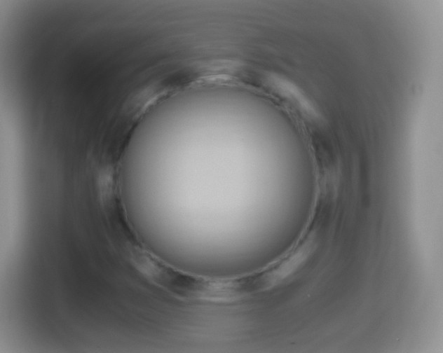 X0000114431353200910231225