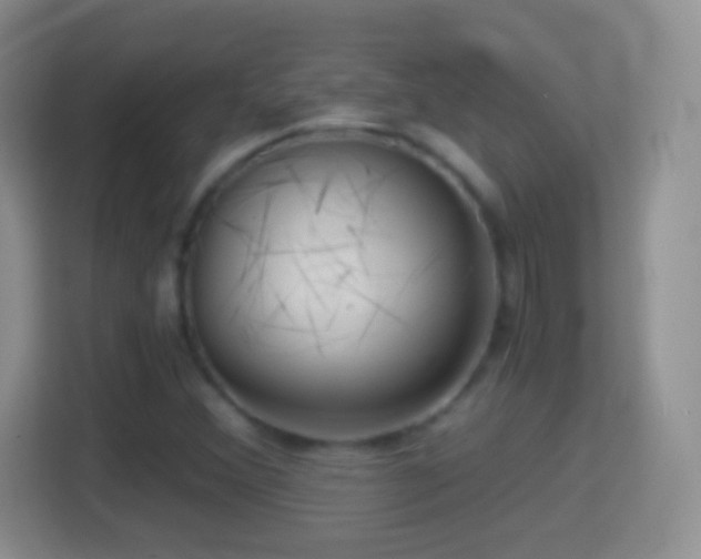 X0000114431356200910231225