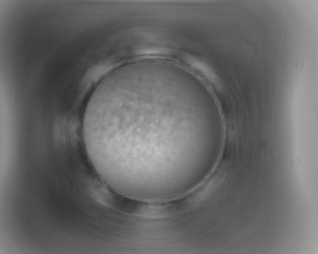 X0000114431357200910231225