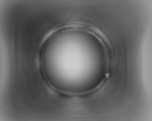 X0000114431360200910231225