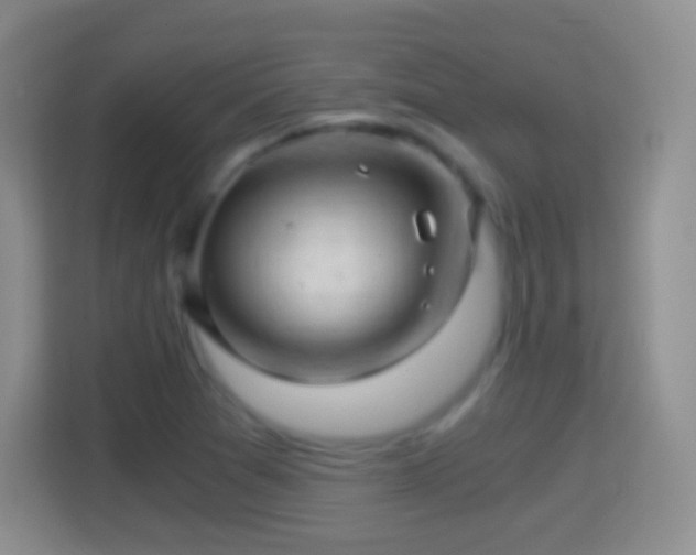 X0000114431361200910231225