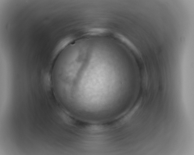 X0000114431362200910231225