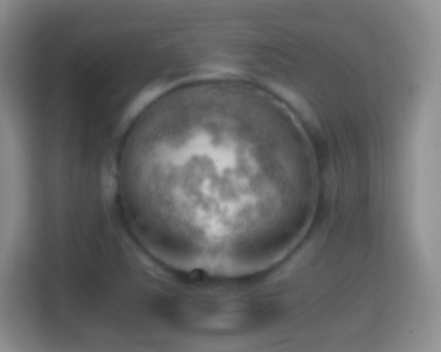 X0000114431363200910231225