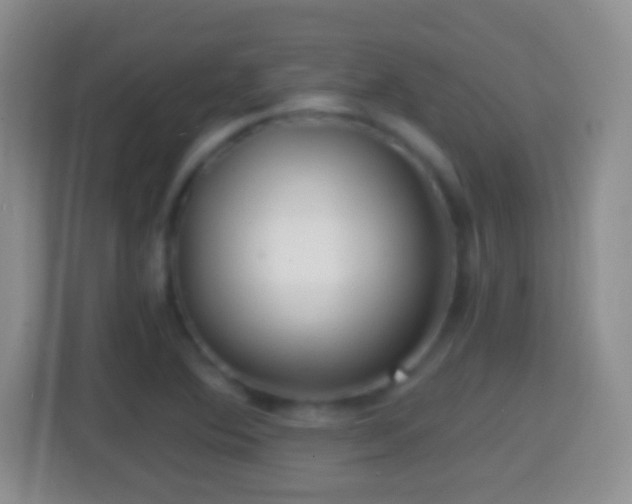X0000114431364200910231225