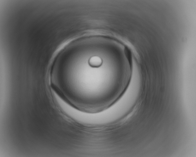 X0000114431365200910231225