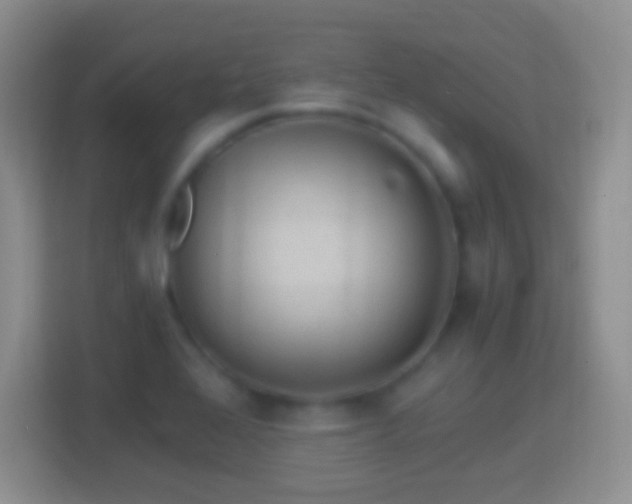 X0000114431368200910231225