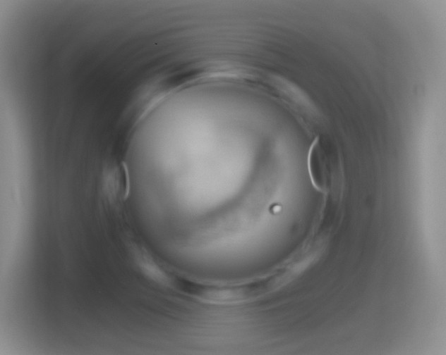 X0000114431369200910231225