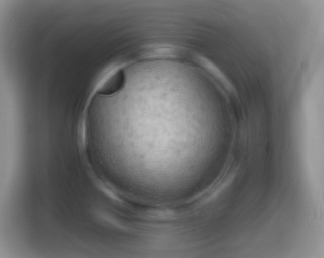 X0000114431370200910231225