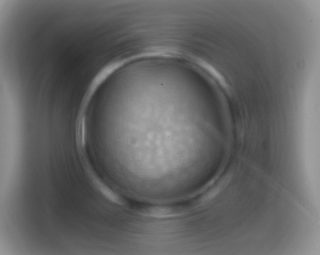 X0000114431371200910231225