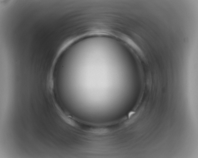 X0000114431372200910231225