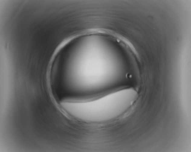 X0000114431373200910231225
