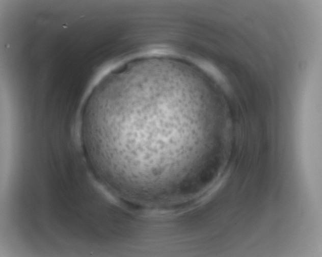 X0000114431374200910231225