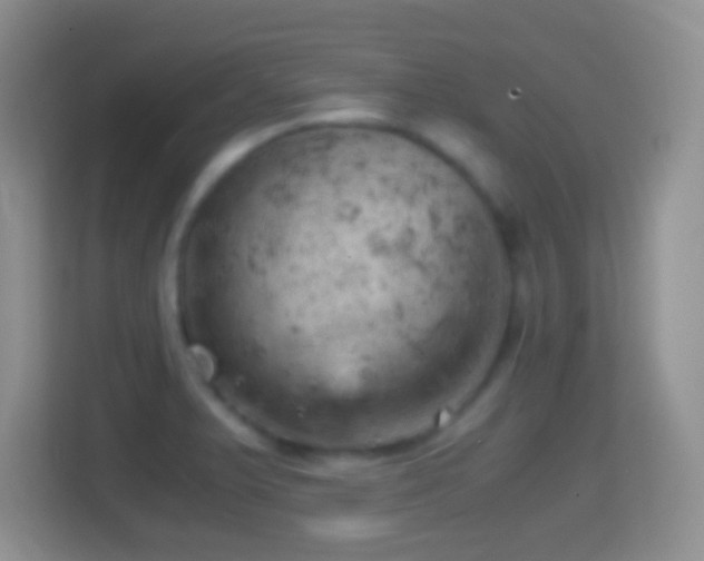 X0000114431375200910231225