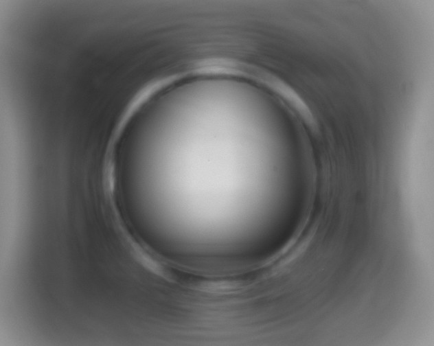 X0000114431376200910231225