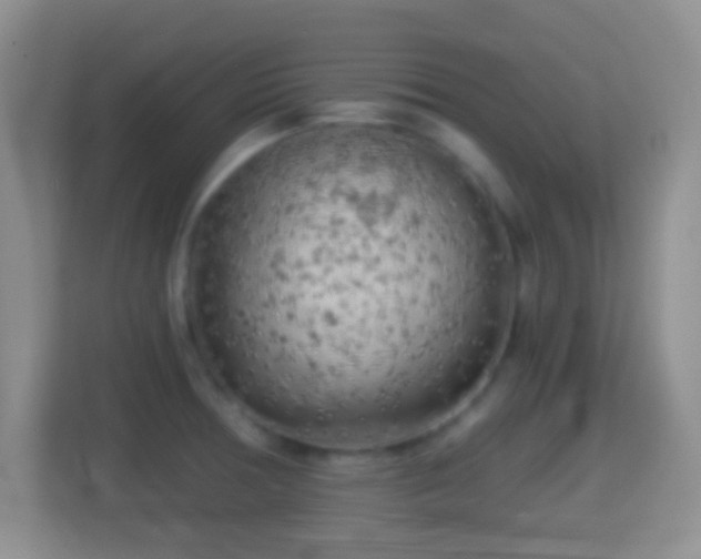 X0000114431378200910231225