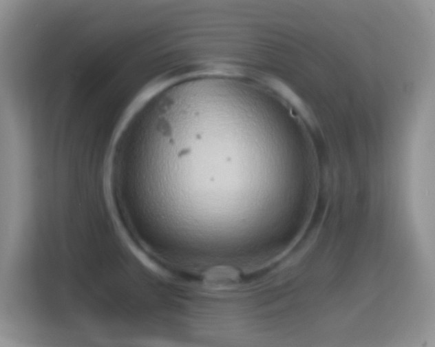 X0000114431379200910231225