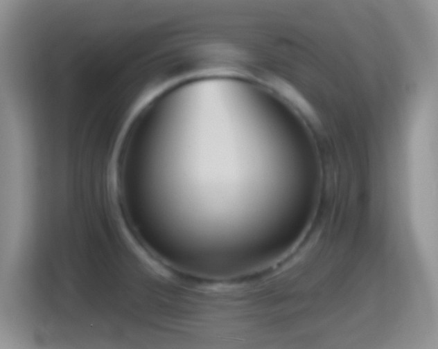 X0000114431380200910231225