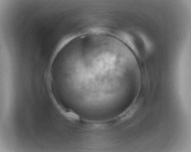 X0000114431381200910231225