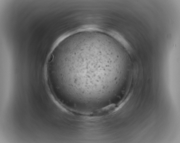 X0000114431382200910231225