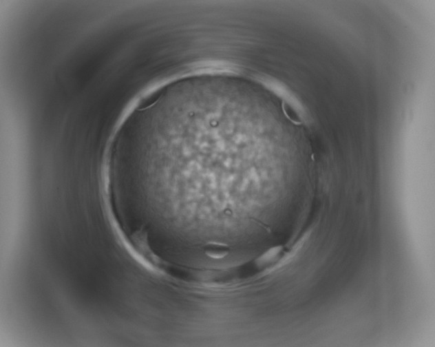 X0000114431383200910231225