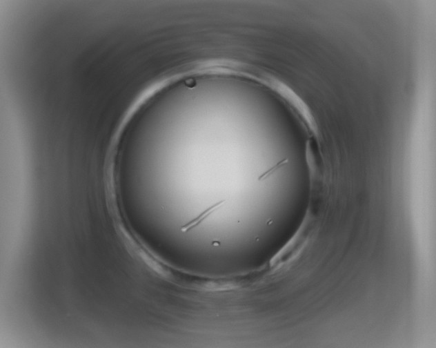 X0000114431384200910231225