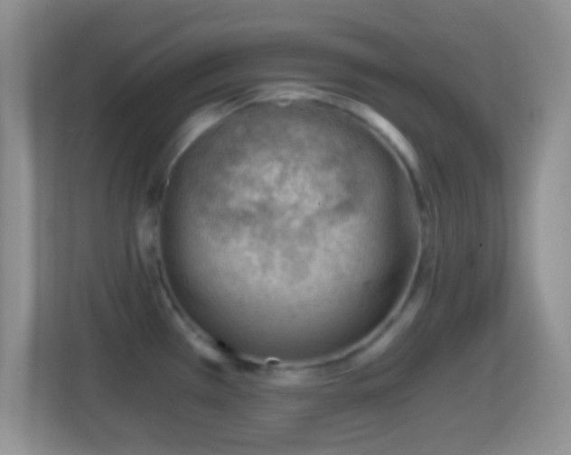 X0000114431385200910231225