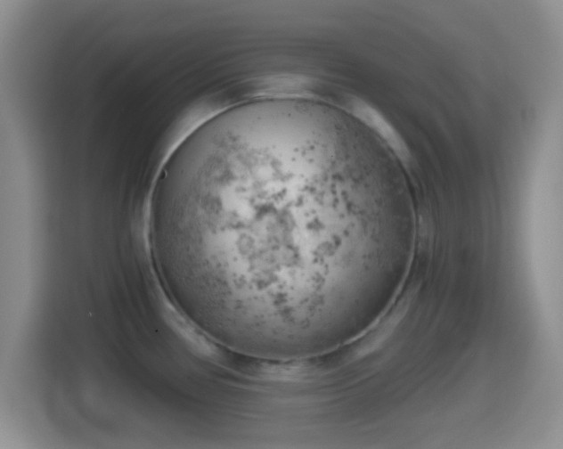 X0000114431386200910231225