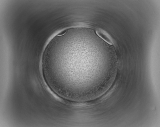 X0000114431387200910231225