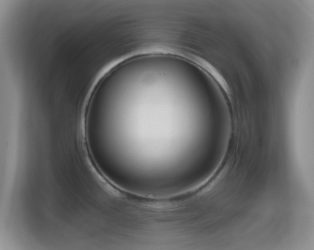 X0000114431388200910231225