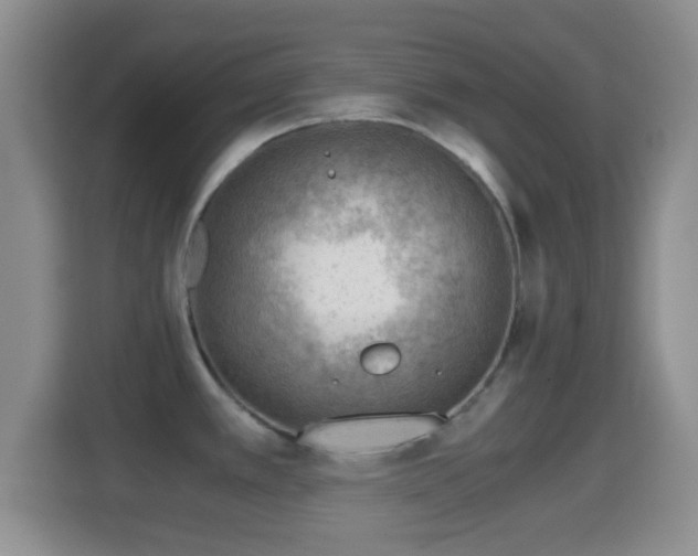 X0000114431389200910231225