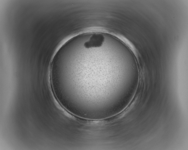 X0000114431390200910231225