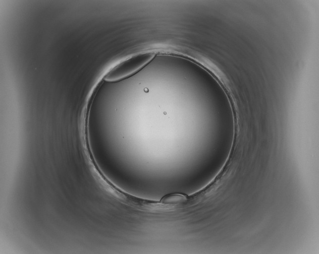 X0000114431392200910231225