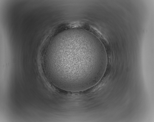 X0000114431393200910231224