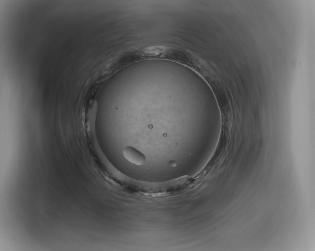 X0000114431394200910231224