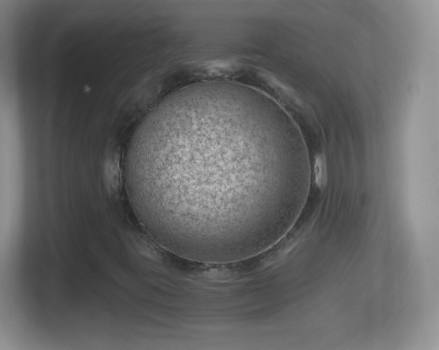 X0000114431395200910231224